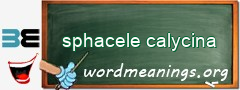 WordMeaning blackboard for sphacele calycina
